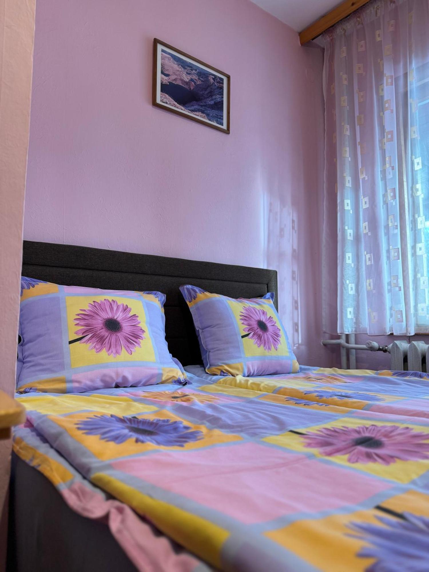 Mama Emiliya Guest House 贝利伊斯库尔 外观 照片