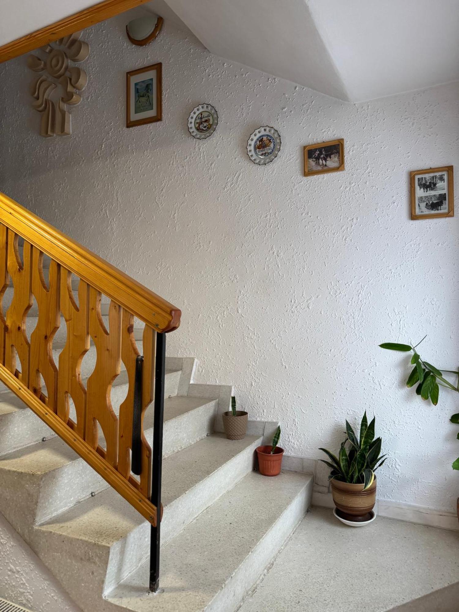 Mama Emiliya Guest House 贝利伊斯库尔 外观 照片